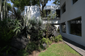 Legado y Memoria Arquitectónica y Legado Jardines del Pedregal