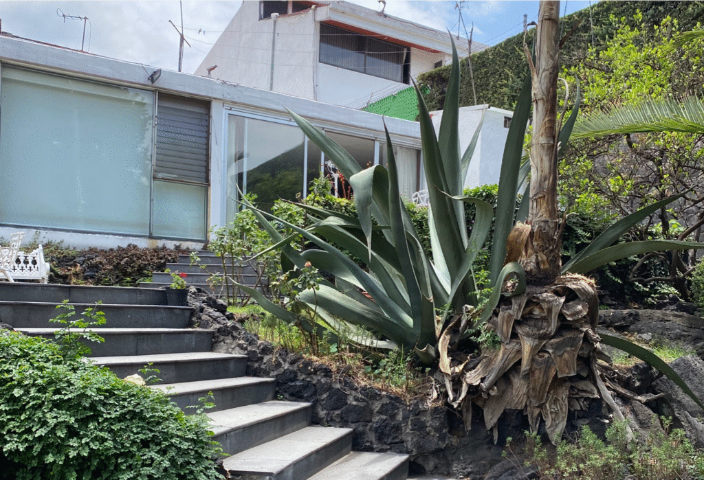 Legado y Memoria Arquitectónica y Legado Jardines del Pedregal